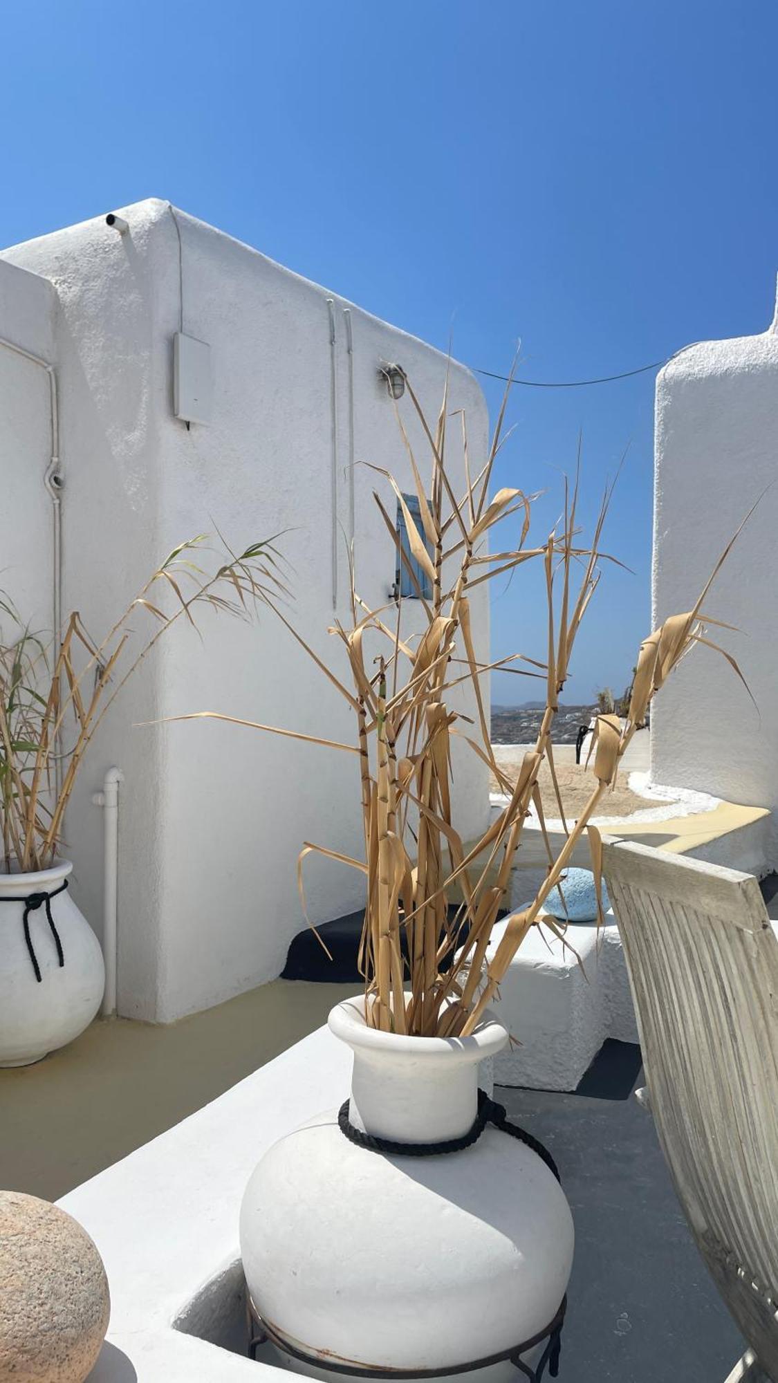 Vougli View Mykonos Hotel Drafaki Ngoại thất bức ảnh